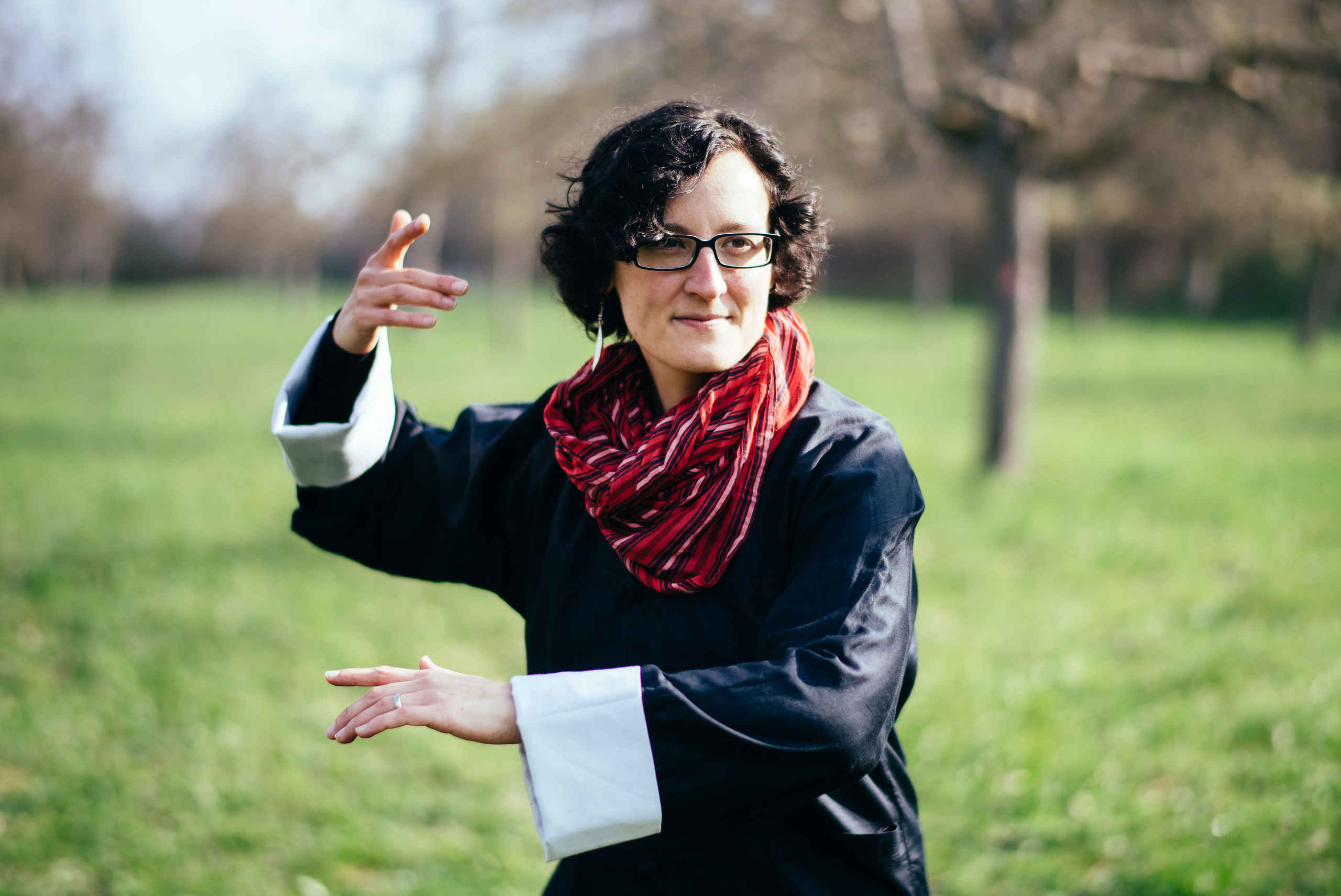 Taiji Quan - Knie streifen